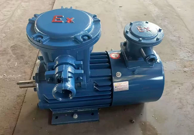 Explosion-Proof Motor